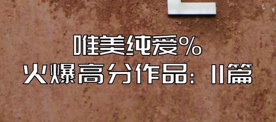 唯美纯爱%火爆高分作品: 11篇